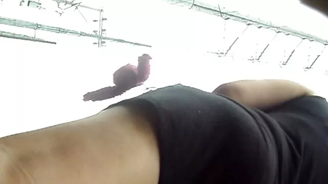 O papá e o rapaz asiático Robin filme pornô brasileiro em português bareback