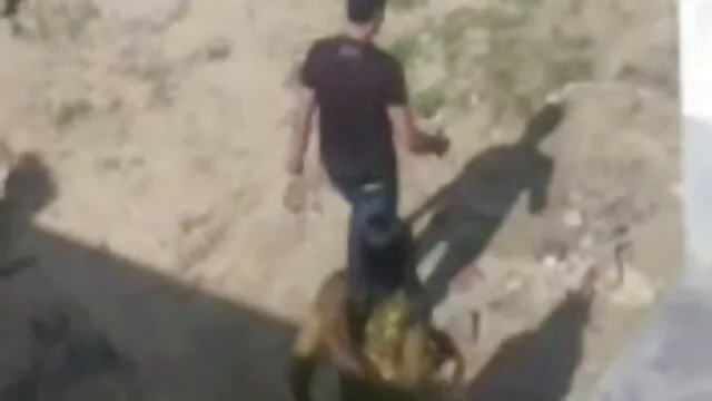 Pila preta sem vídeo de pornô brasileiro em português parar de trabalhar rata